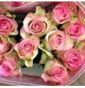 ΤΡΙΑΝΤΑΦΥΛΛΑ  ΔΙΧΡΩΜΑ ΦΟΥΞ  ROSEN LOVELY JEWEL 